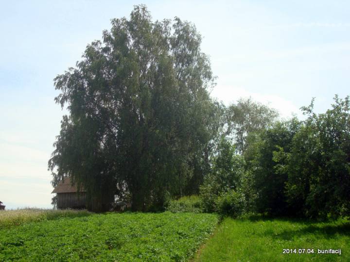 На этом холме стояла церковь