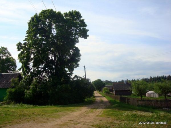 Улица в деревне
