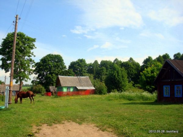 В деревне