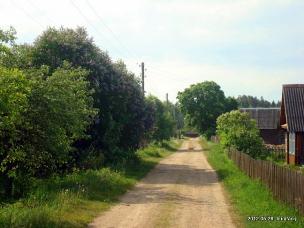 Дорога через деревню