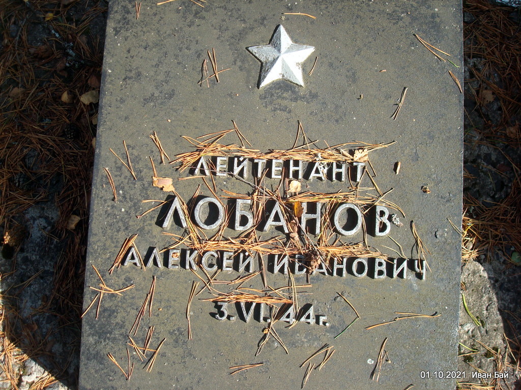 Надгробиезахороненного с фамилией 