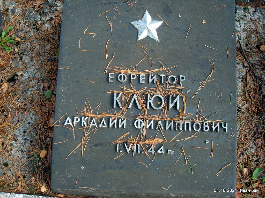 Надгробиезахороненного с фамилией 