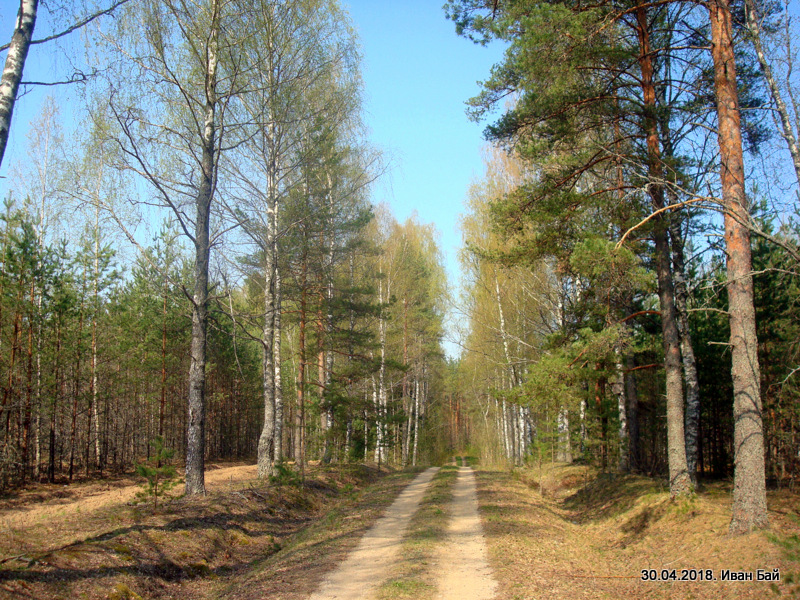 Дорожка к второму памятнику Кульневу