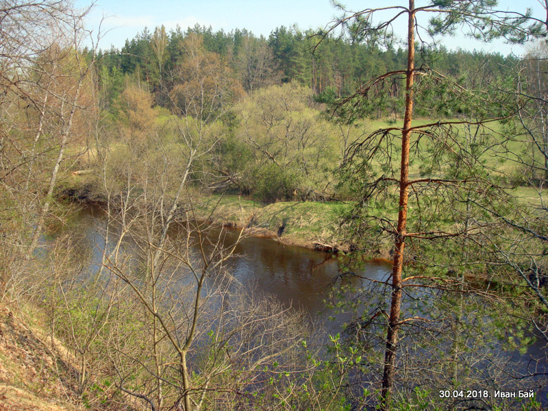 Река Дриса около места гибели Кульнева