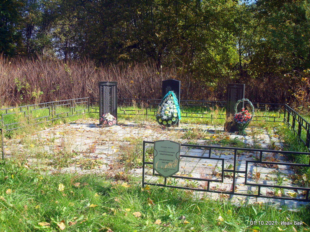 Братская могила в д. Туровля