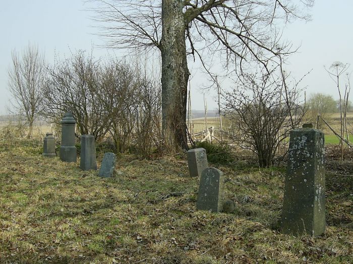 Захоронение семьи Шауман возле костёла