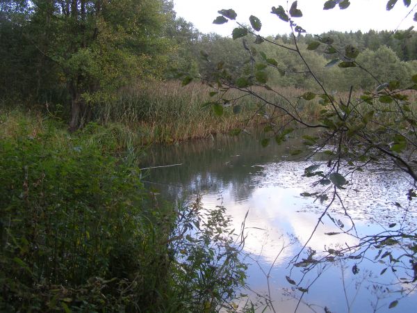 д.Ганышево октябрь 2009г.р.Адров