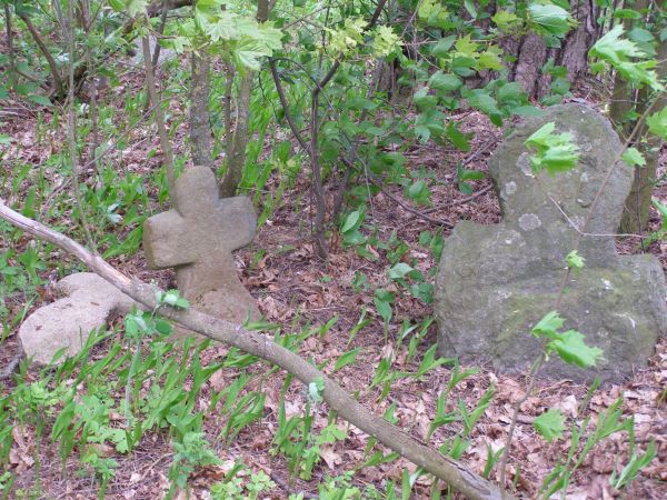 Ганышево.Кладбище май 2008г