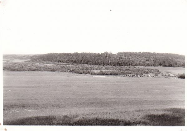 Д.Ганышево.Вид на Золотую гору со стороны Церковища.Начало 80х.