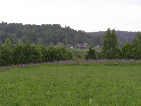 д.Кучино июнь 2010г.