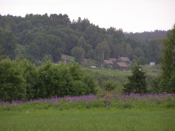 д.Кучино июнь 2010г.