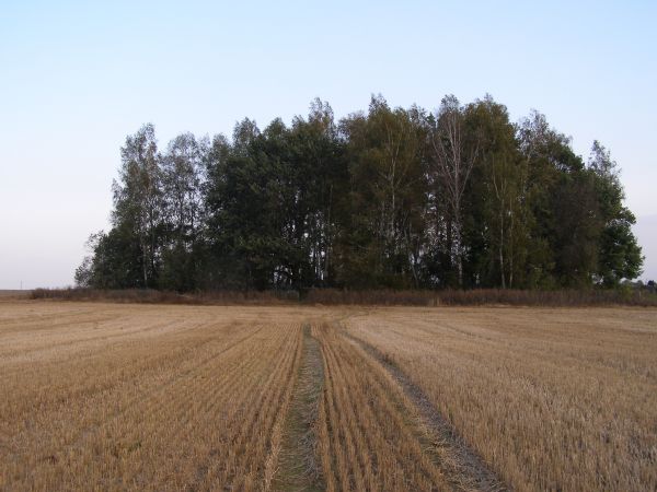 , 19.09.2012.