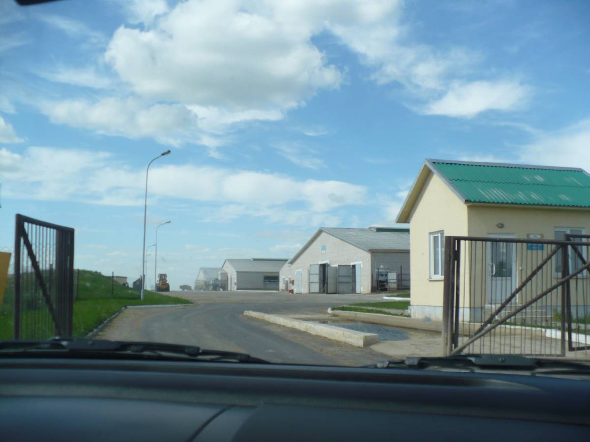 Kolchoz polzony jak wiekszosc na Bialorusi wsrod pol, z dala od wiosek, ten o okolicy Kretego Brzegu