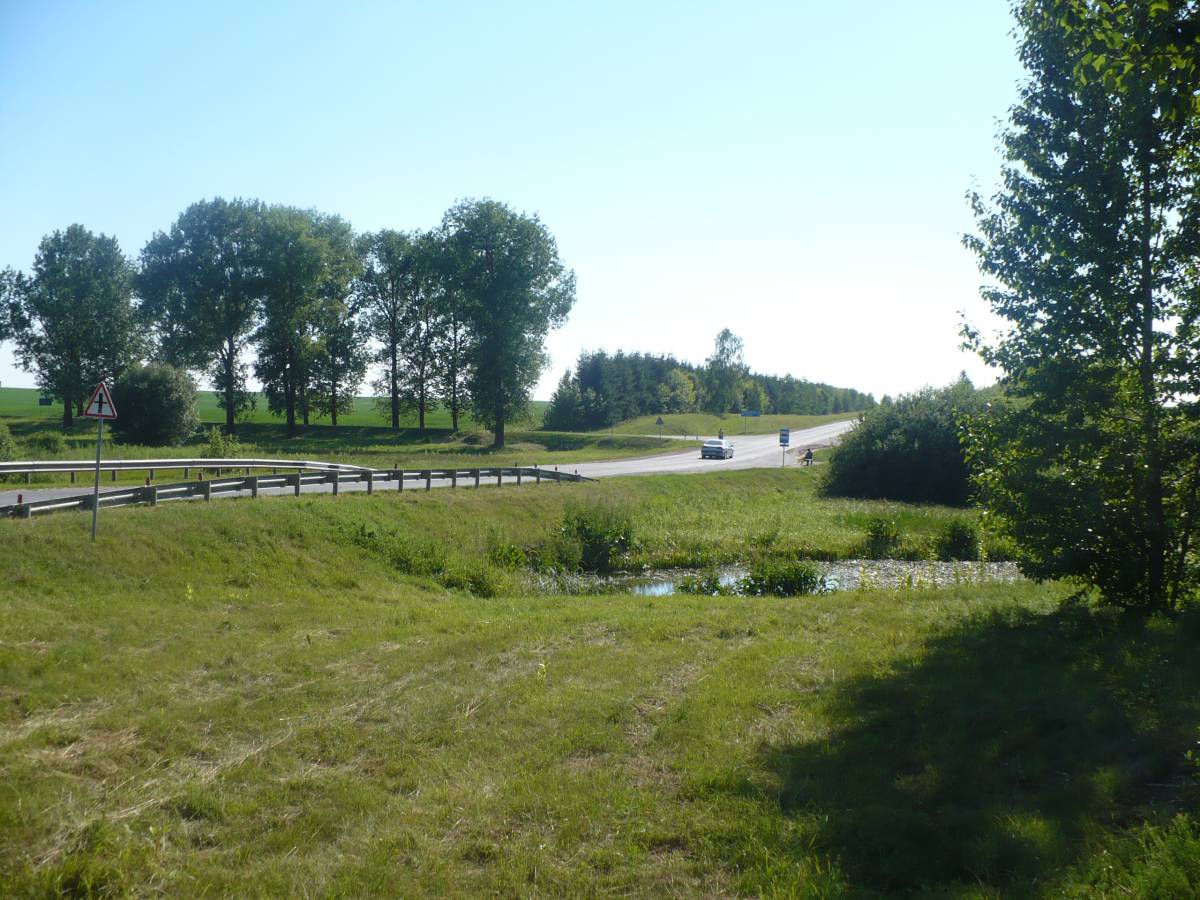 Za tym szpalerem drzew po lewej stronie staі dom rodzinny Jadwigi, teraz rosnie tam pszenica na koіchozowym polu