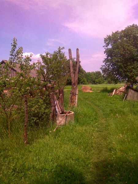 Saple- podwórek Wasylia i Haliny Moskaluk  