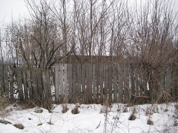 Ермоленко Порфирий Авксентьевич