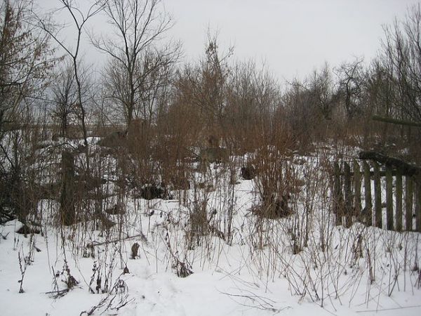 Денисенко Абрам Яковлевич<br>Стрибук Степан Андреевич<br>Пайуц (Ермоленко) Дина Васильевна