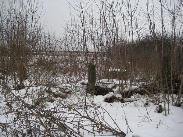 Денисенко Абрам Яковлевич<br>Стрибук Степан Андреевич<br>Пайуц (Ермоленко) Дина Васильевна