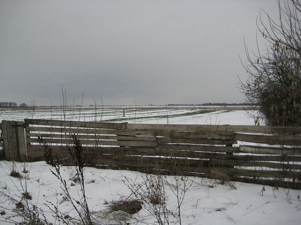 Бородавко Иван Васильевич