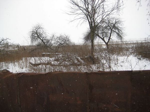 Гусенок Дарья, 