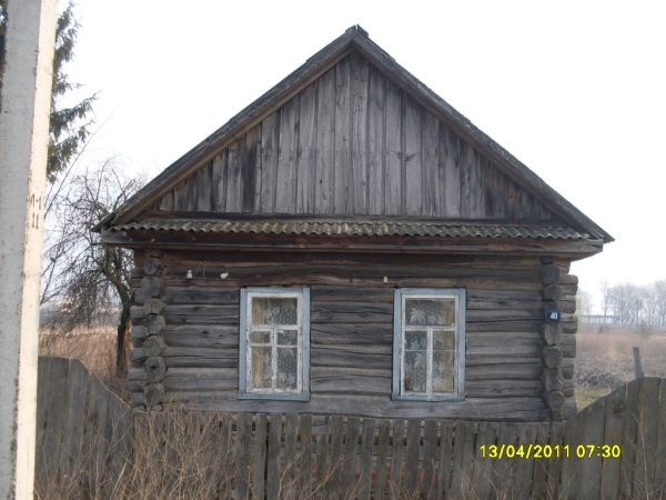 Стрибук (Хвост) Елена Андреевна