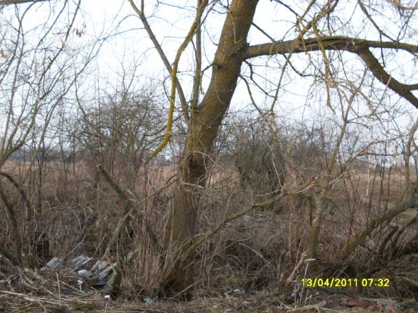 здесь был дом семьи<br><br>Зеленковского Ивана Михайловича