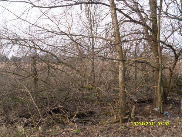 здесь был дом семьи<br><br>Стрибук Петра Ефимовича