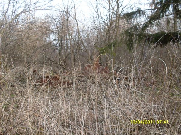 здесь был дом семьи<br>Ермоленко Георгия Александровича<br>