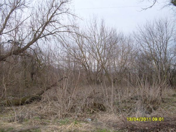 здесь был дом семьи<br>Ермоленко Дмитрия Яковлевича 