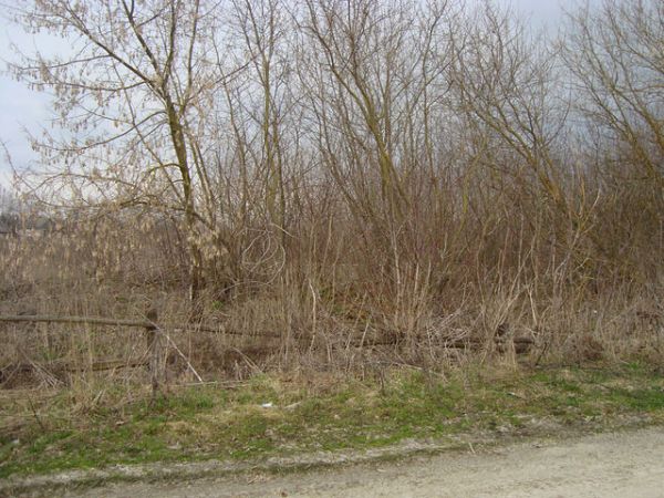 здесь был дом семьи<br>Ермоленко Василия Дмитриевича