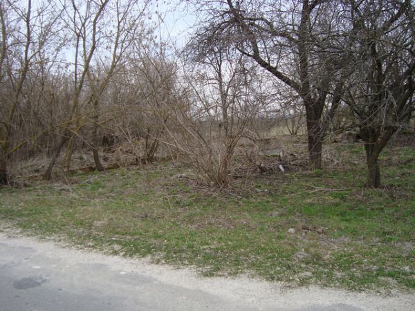 здесь был дом семьи<br>Шкурко Адама Игнатовича