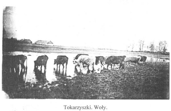 Такарышкі. Валы.