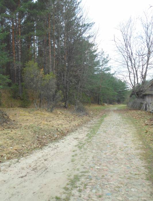 Остатки брукованной дороги