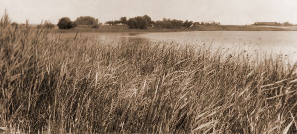 Вид Сойчино с Лысой горы 1978г.