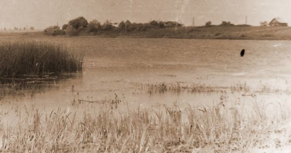 Вид Сойчино с острова 1978г.