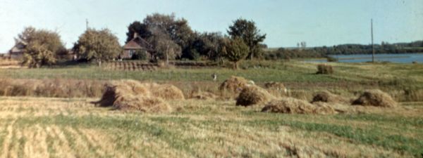 1985г. Усадьба Урбан Мелетия Михайловича