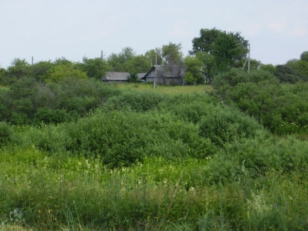 2009г. Сойчино. Здесь никто не живет....