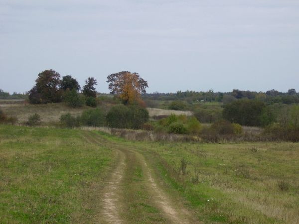 2009г. Дорога в Сойчино.