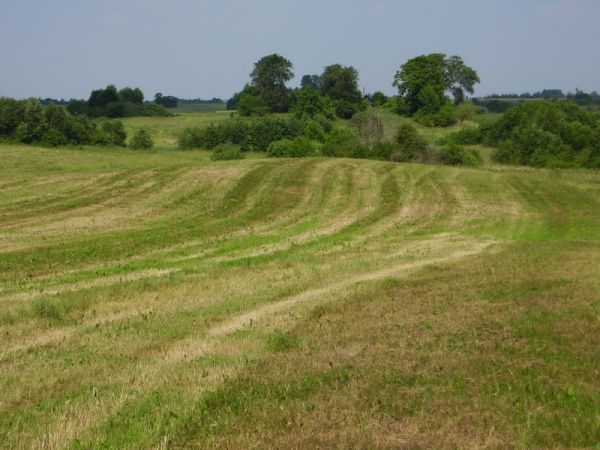 2009г. Сойчино. Природа.