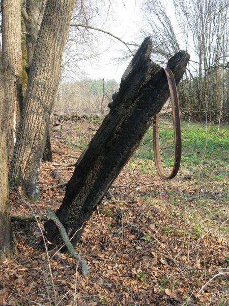 Символичный снимок. Нетолько время, но и люди приложили руку к тому, что сейчас осталось от деревни.