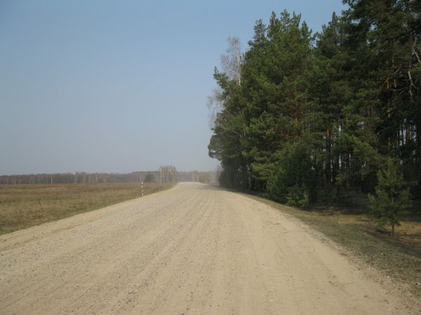 Это дорога на деревню Ельня. Справа в лесу находится кладбище.