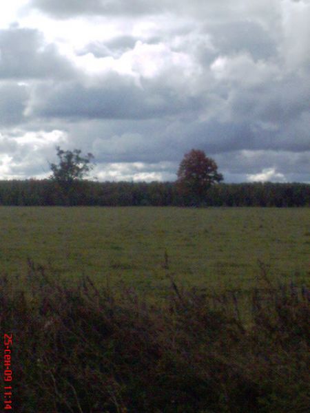 25 września 2009 rok