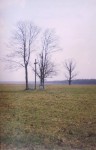 From the album of old pictures